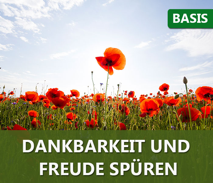 Geführte Meditation: Dankbarkeit und Freude spüren