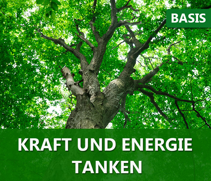 Geführte Meditation: Kraft und Energie tanken