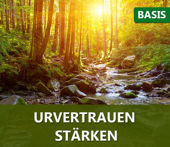 Geführte Meditation: Urvertrauen stärken